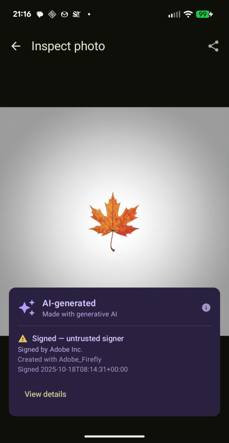 C2PA Verify Screenshot 1